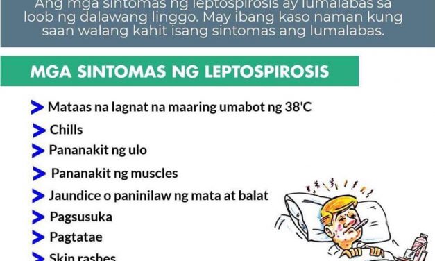 Mga dapat malaman hinggil sa LEPTOSPIROSIS